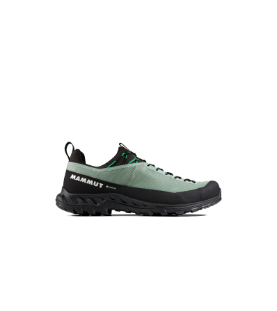 Обувки Mammut Alnasca IV Low GTX Men